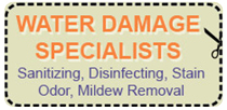 water damage coupon